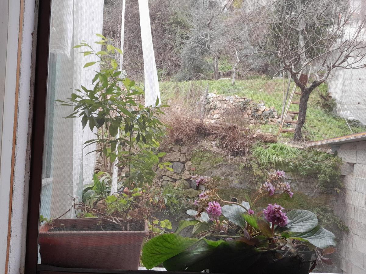 Antichi Sapori Da Speranza Villa Gavoi Ruang foto